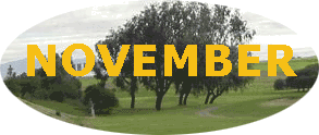 &nbsp;&nbsp;&nbsp;NOVEMBER&nbsp;&nbsp;&nbsp;